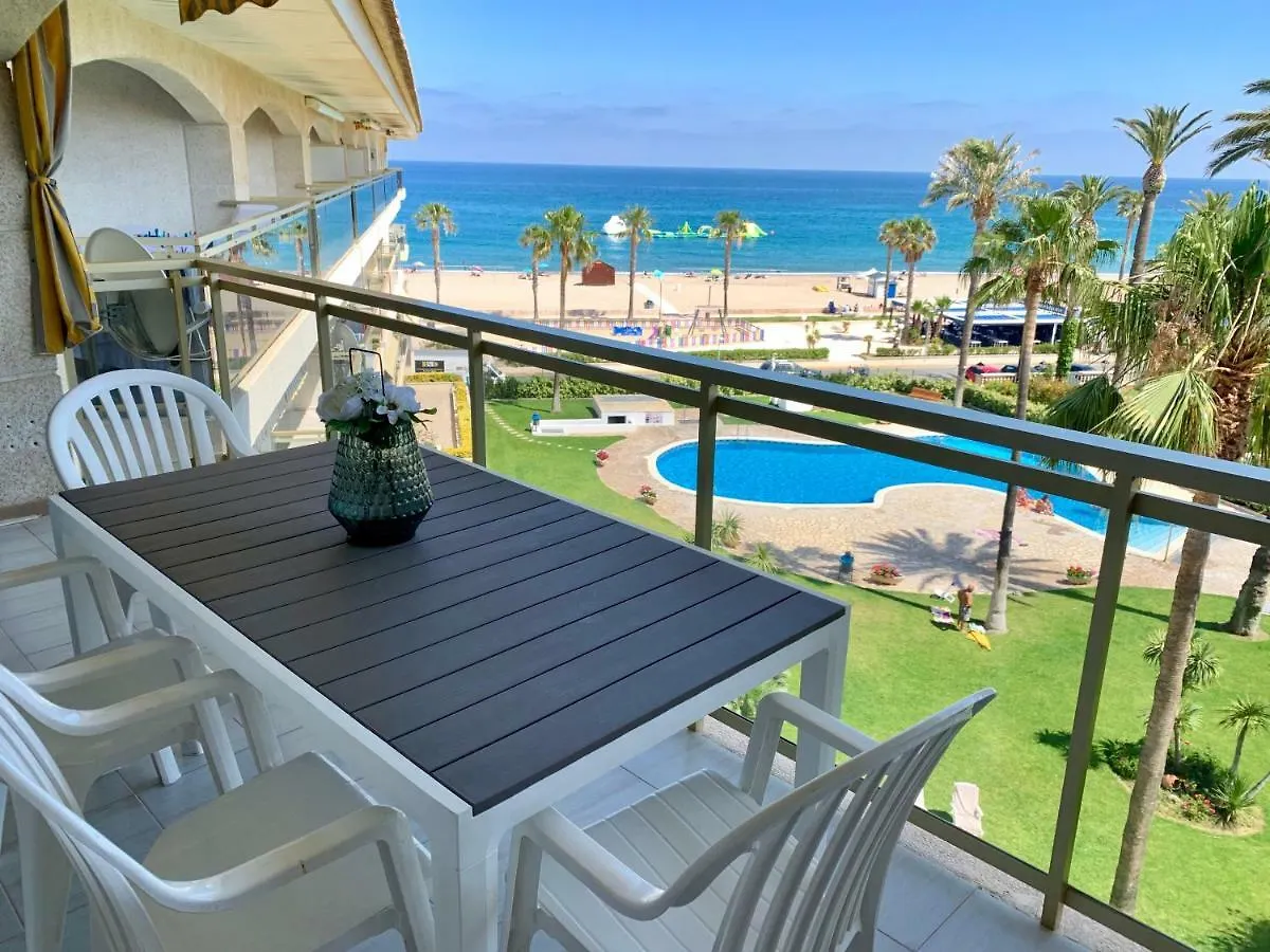 הקונטקטים של Homing Miami Playa Cristal 10